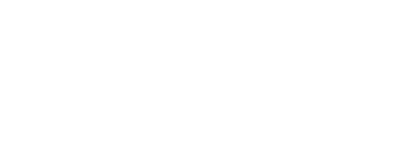 HD Vision