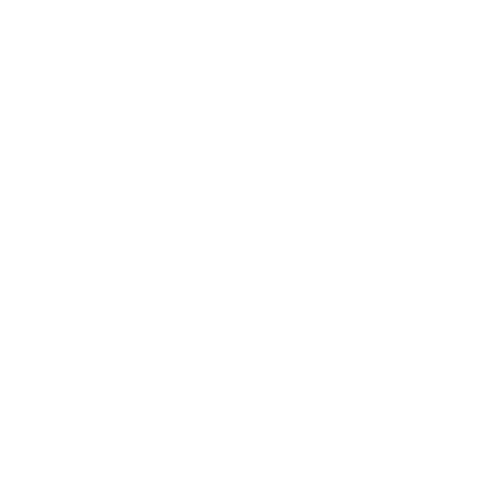 Revolution Pro